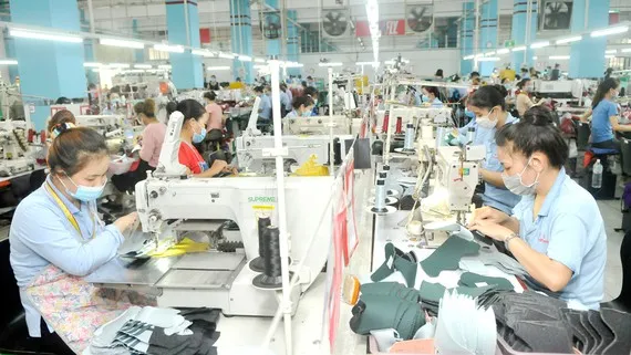 Bất chấp Covid-19, da giày Việt Nam vẫn giữ phong độ cao, doanh nghiệp có đơn hàng đến cuối năm ảnh 1