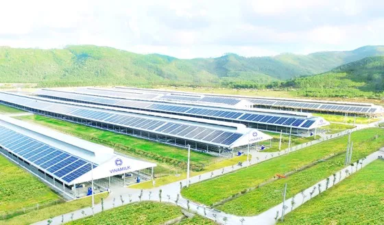 Danh nghiệp xoay trở tìm nguyên liệu ảnh 1