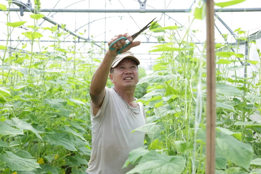 Bức tranh kinh tế 6 tháng đầu năm nhìn từ mối quan hệ tăng trưởng GDP 5,64% và 500 nghìn tỷ tín dụng ảnh 3