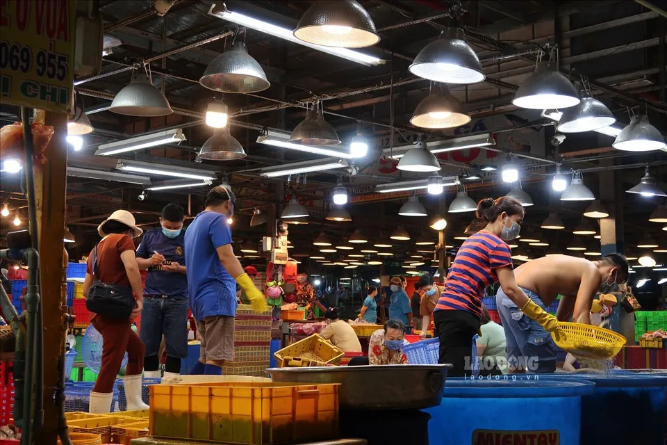 Chợ đầu mối nông sản Thủ Đức tạm dừng hoạt động từ 8h sáng mai ảnh 1
