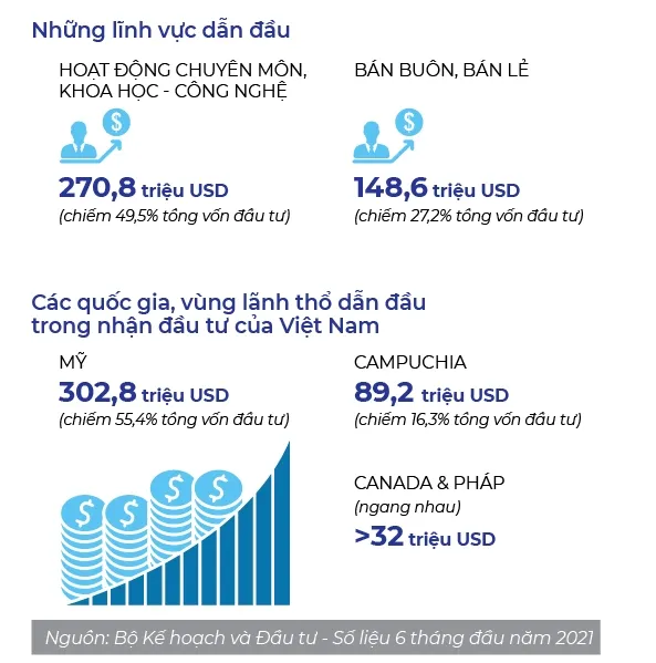 Vốn Việt tăng tốc xa bờ ảnh 4