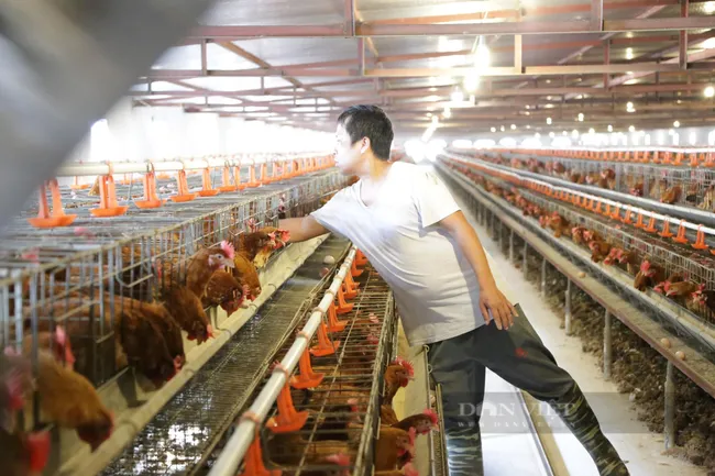 Covid-19 tạo ra cơ hội vô cùng lớn để Việt Nam vươn lên vượt các đối thủ cạnh tranh trong khu vực ảnh 3