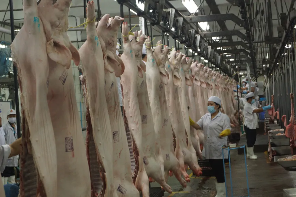 Siêu thị TPHCM cấp tập tăng nguồn thịt heo, cam kết không để hụt nhu cầu người tiêu dùng ảnh 1