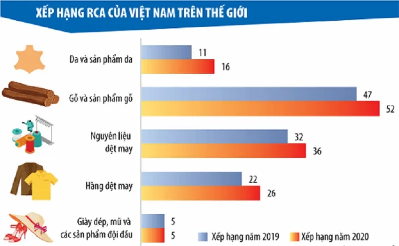 Vẽ lại bức tranh lợi thế so sánh của Việt Nam ảnh 1