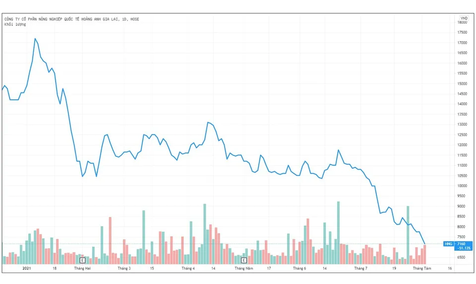 Giá cổ phiếu HNG đã giảm liên tục từ đầu năm đến nay. Nguồn: Tradingview.