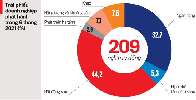 Nhà đầu tư cá nhân hết 'thèm' trái phiếu doanh nghiệp? ảnh 1