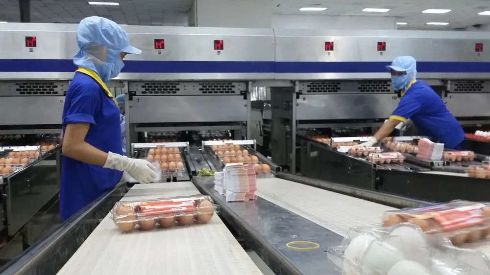 Đã đến lúc tính chuyện 'mở cửa' kinh tế TPHCM? ảnh 2