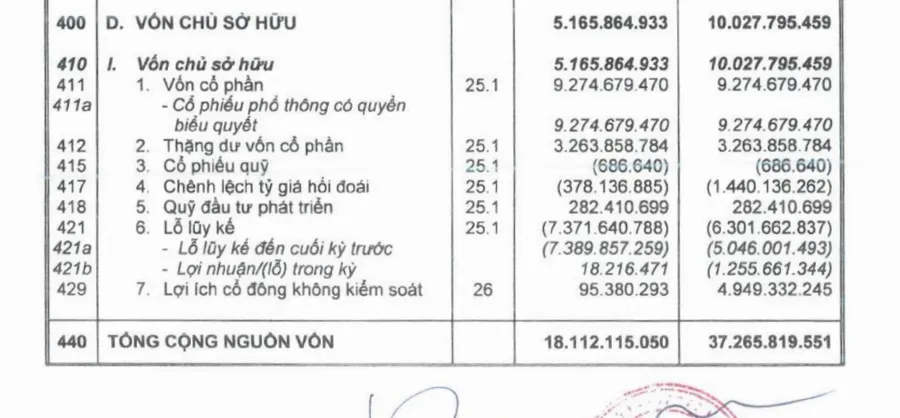 Đại gia Việt 'viễn chinh' mùa Covid-19: Kẻ hụt hơi, người thu trái ngọt nghìn tỷ đồng ảnh 2