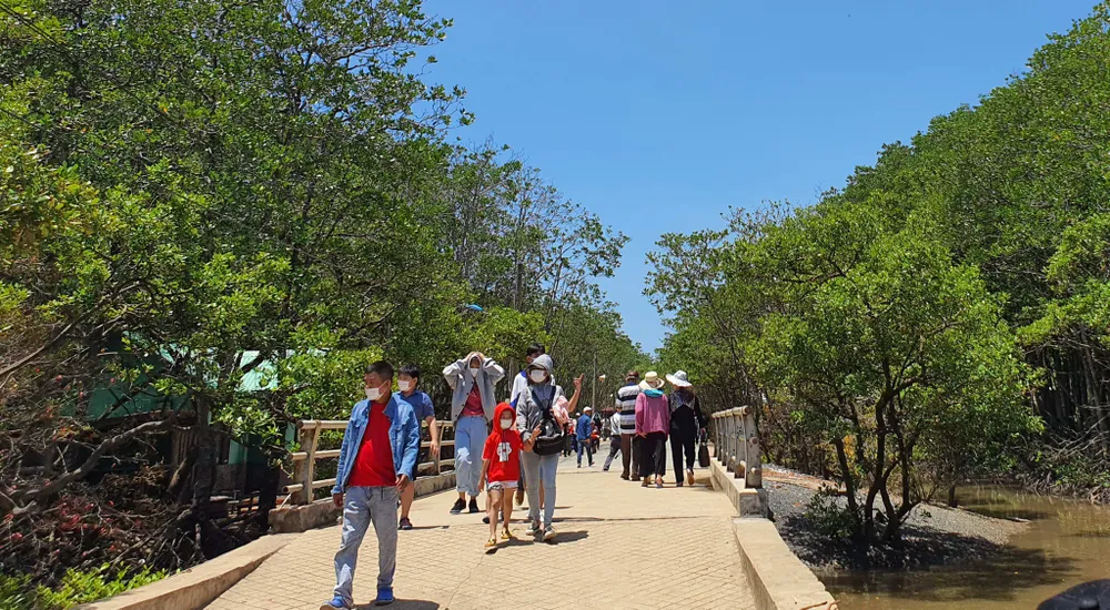 Cần Giờ mở cửa đón khách ảnh 2