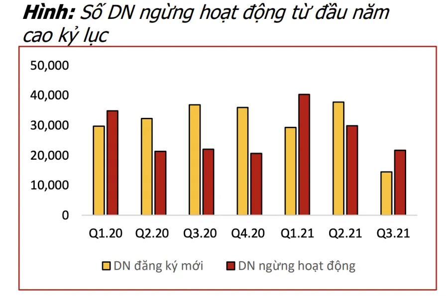 Những doanh nghiệp nào có lợi nhuận tăng trưởng bứt phá bất chấp quý 3 ảm đạm? - Ảnh 1