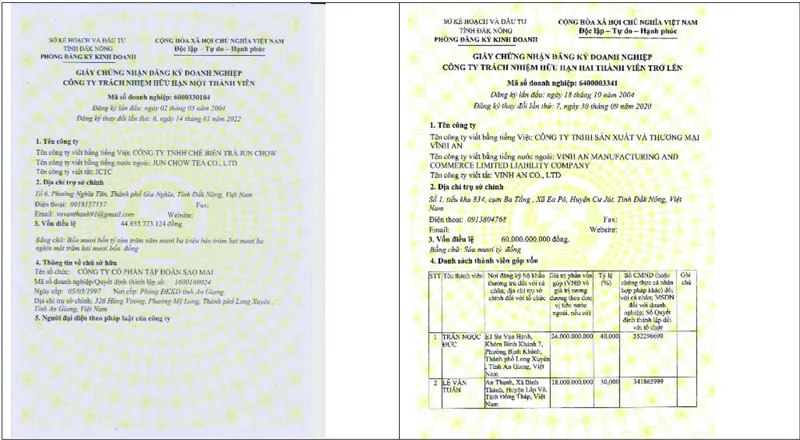 Sao Mai chi phối thêm nhiều doanh nghiệp ảnh 4