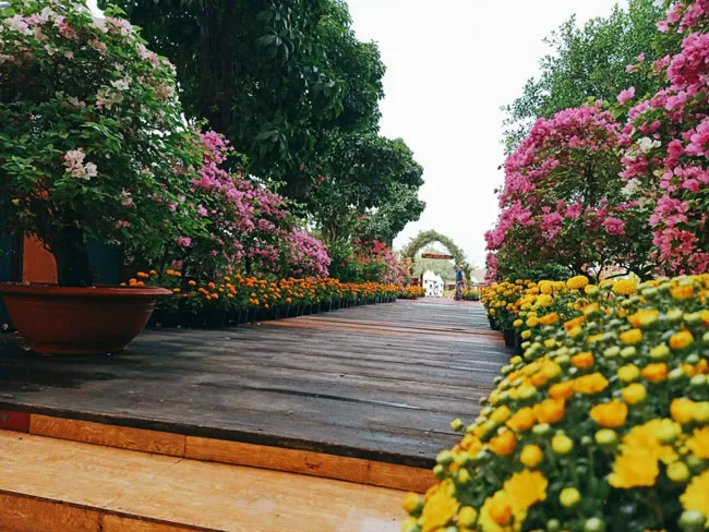 Sao Mai chi phối thêm nhiều doanh nghiệp ảnh 6