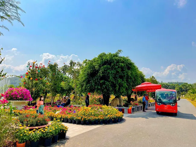 Điểm du lịch ‘mới nổi’ cực hút khách ở An Giang ảnh 2