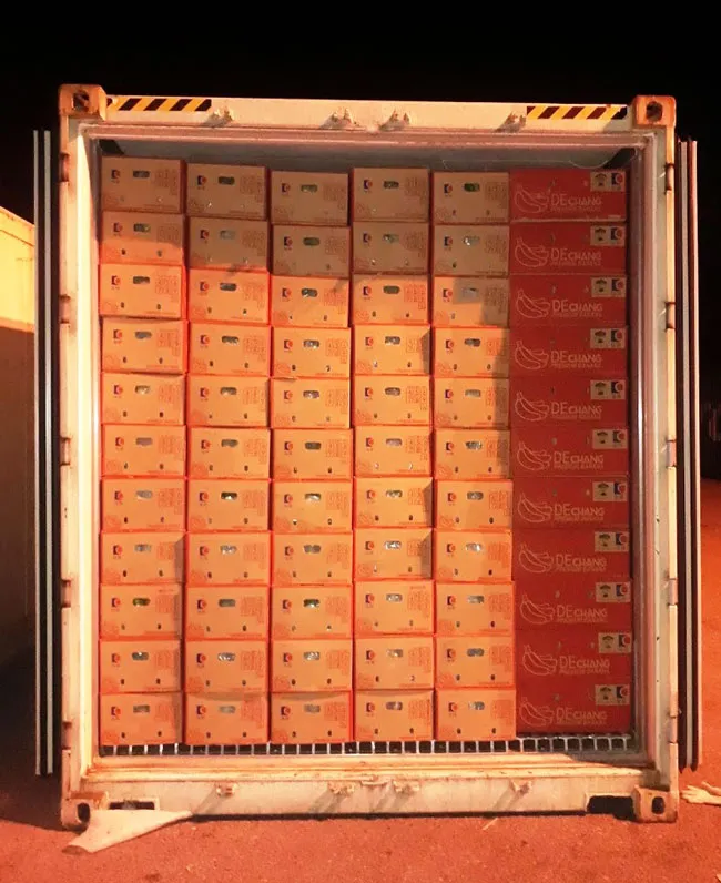 Giải pháp logistics qua cửa khẩu quốc tế Nam Giang cho doanh nghiệp Việt, Lào ảnh 5