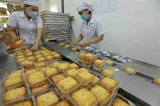 Tin dung eo hep, giai phap von nao cho doanh nghiep nho va vua? hinh anh 2