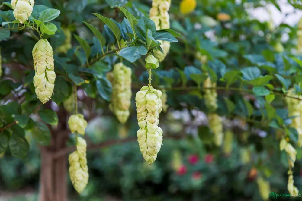 Nha tho dep nhat tinh Binh Duong hinh anh 6