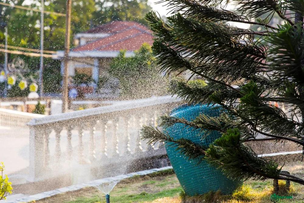 Nha tho dep nhat tinh Binh Duong hinh anh 7