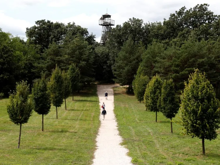 29. Hungary: 13.3% of children with parents in the bottom half ended up in the top quarter.