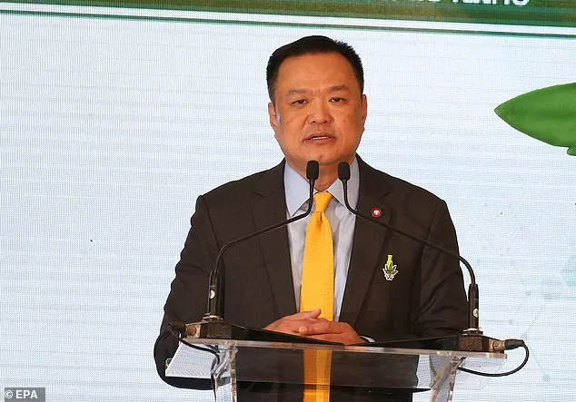 Thai health minister Anutin Charnvirakul told Sky News: 'We are not able to stop the spread... Of course we expect more people to get sick'