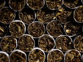 Coronavirus Vaccine Race Gets Unlikely Partner: Big Tobacco