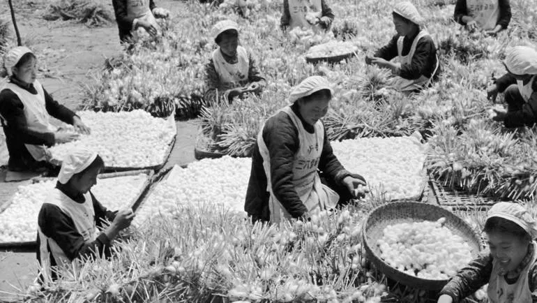 Xi fears Japan-led manufacturing exodus from China ảnh 4