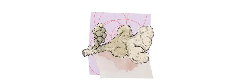 Tất cả các triệu chứng Covid-19 bạn không biết ảnh 8