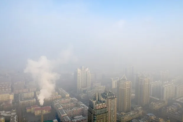 IMF keu goi cham dut viec tro cap nhien lieu hoa thach hinh anh 2