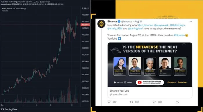 Tiền ảo được mẹ của Elon Musk hỗ trợ tăng giá phi mã ảnh 1