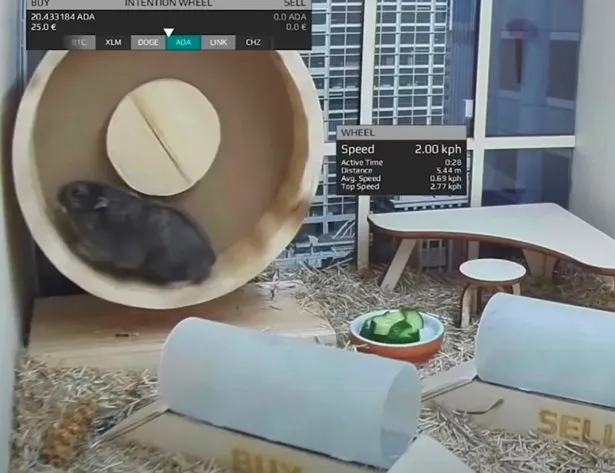 The wheel and tunnels communicated Goxx's orders to the outside world