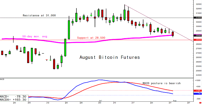 Bitcoin giữ mức 29.300 USD, bước đi nào tiếp theo? ảnh 2