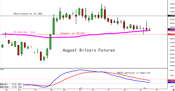 Thị trường tiền điện tử hợp nhất khi Bitcoin giữ mức trên 29.300 USD ảnh 2