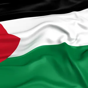 LHQ cân nhắc tư cách thành viên chính thức của Palestine