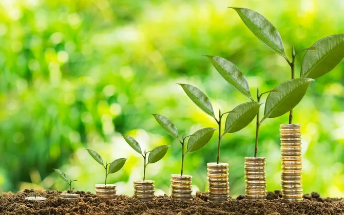 Embracing Green Growth: An Irreversible Path