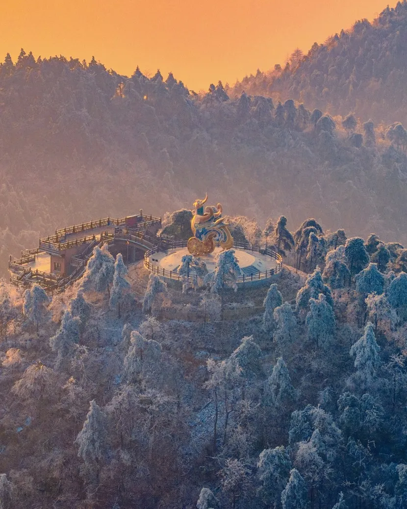 In 1996, UNESCO recognized the Tianmu Mountain Nature Reserve as a biosphere reserve. The historic region in Lin'an is home to the world's largest ancient Cryptomeria forest and the oldest natural gingko forest. Getty