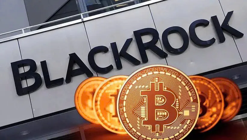CEO BlackRock: Bitcoin có nhiều tiềm năng hơn vàng