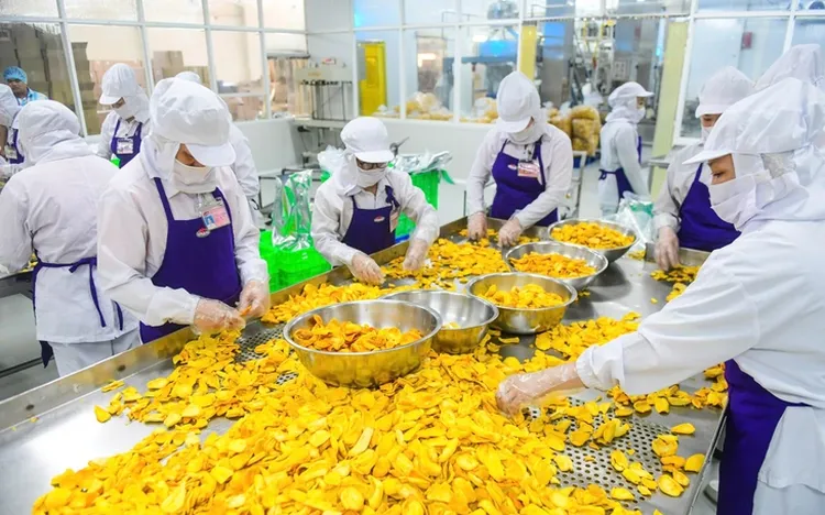 Resolution 68 Sparks New Hope for Vietnam’s Private Sector