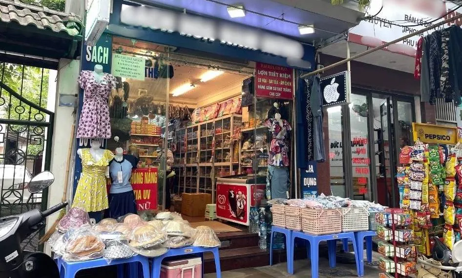 Formalising Vietnam’s Household Businesses 