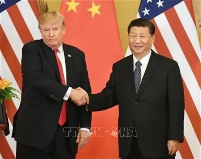 Chủ tịch Trung Quốc Tập Cận Bình (phải) và Tổng thống Mỹ Donald Trump tại cuộc gặp ở Bắc Kinh năm 2017. Ảnh tư liệu: Kyodo/TTXVN