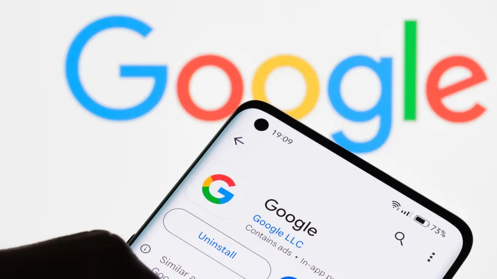 Image: mundissima/Shutterstock.com