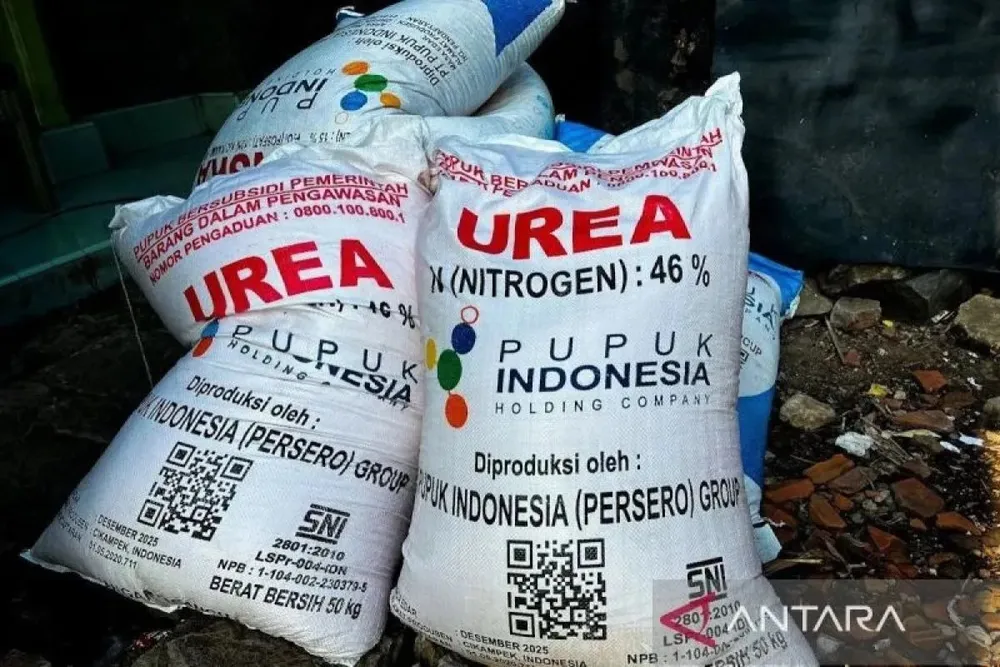 Ít nhất 3 quốc gia đã đề nghị nhập khẩu urê từ Indonesia. Ảnh minh họa: antaranews.com