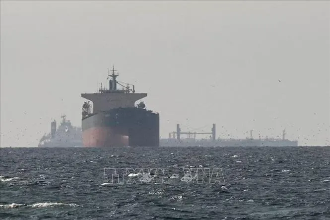 Tàu chở dầu neo tại vùng Vịnh, gần eo biển Hormuz, khi xung đột diễn ra giữa lực lượng phối hợp Mỹ-Israel với Iran, ngày 11/3/2026. Ảnh: TTXVN