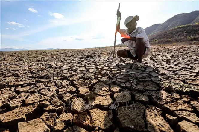 El Nino cực mạnh được dự báo có thể quay trở lại trong năm 2026, làm gia tăng nguy cơ hạn hán trên diện rộng tại châu Á - Thái Bình Dương. Ảnh: TTXVN.