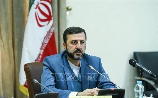 Thứ trưởng Ngoại giao Iran Kazem Gharibabadi. Ảnh: IRNA/TTXVN