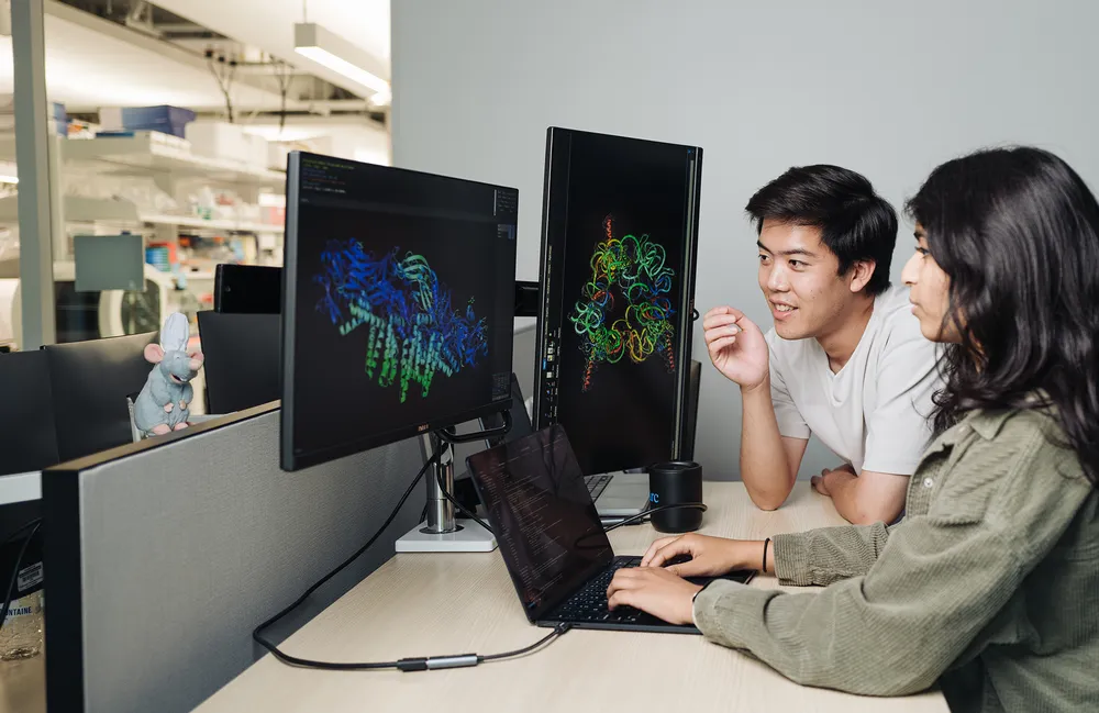 Brian Hie và Aditi Merchant đang xem xét cấu trúc protein được tạo ra bởi Evo 2, một công cụ AI có khả năng đề xuất các thiết kế bộ gen. Ảnh: Stanford Report