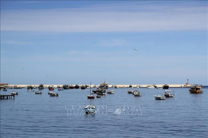 Tàu thuyền neo đậu trên vùng biển Địa Trung Hải ngoài khơi thành phố Alexandria, Ai Cập. Ảnh: THX/TTXVN