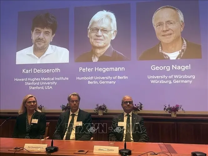 Chân dung các nhà khoa học (từ trái sang) đoạt giải Nobel Y Sinh 2026 Karl Deisseroth (Mỹ), Peter Hegemann và Georg Nagel (Đức) vì những phát hiện liên quan đến công nghệ quang di truyền học. Ảnh: AA/TTXVN phát