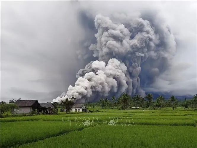 Tro bụi phun lên từ núi lửa Semeru ở Lumajang, Đông Java, Indonesia, ngày 19-11-2025. Ảnh minh họa: THX/TTXVN