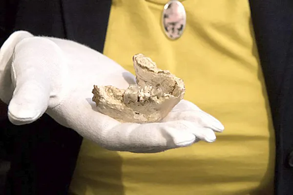 Giả thuyết mới về nguồn gốc loài người