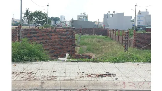 TPHCM tạo điều kiện thúc đẩy doanh nghiệp phát triển ảnh 1