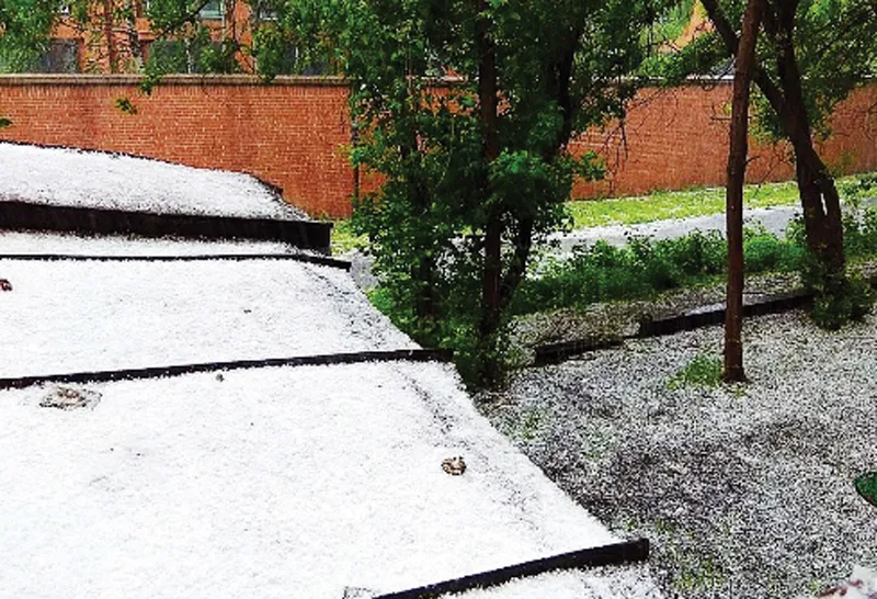 Tuyết rơi mùa hè